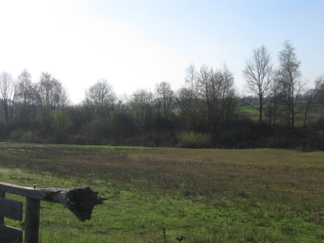 img_7248.jpg