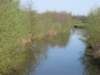 img_7292_small.jpg