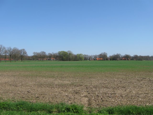 img_7317.jpg