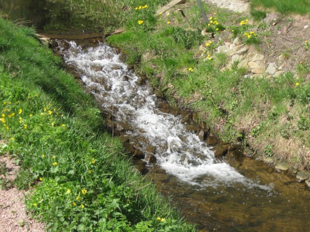 img_7323.jpg
