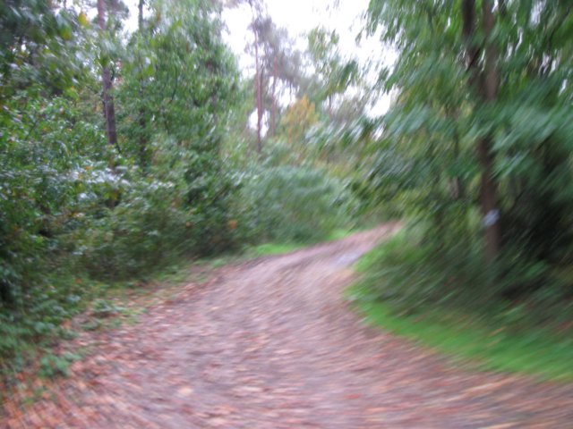 img_8912.jpg