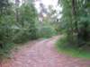 img_8912_small.jpg