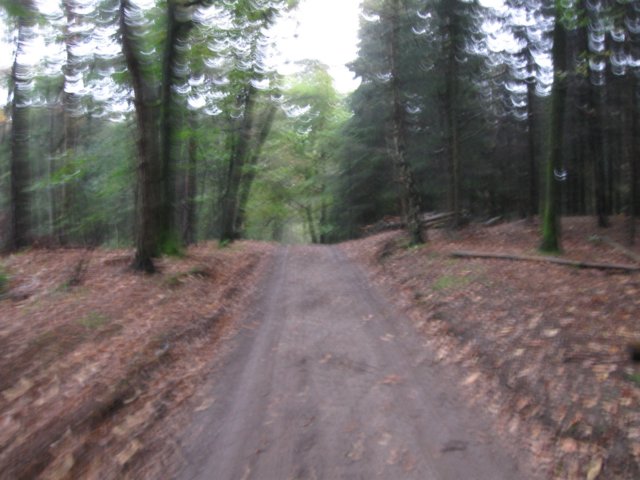 img_8913.jpg