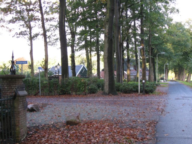 img_8918.jpg