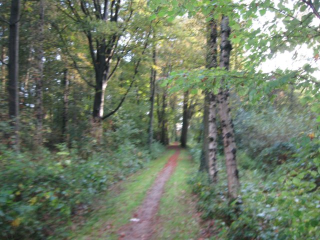 img_8930.jpg
