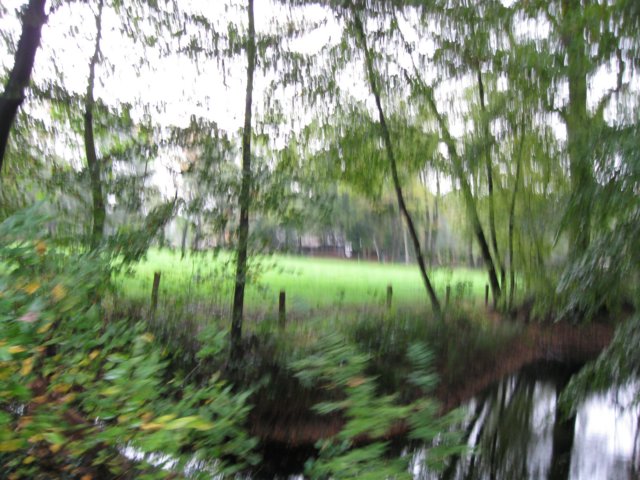 img_8940.jpg
