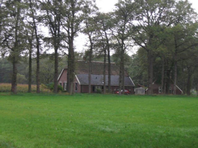 img_8950.jpg