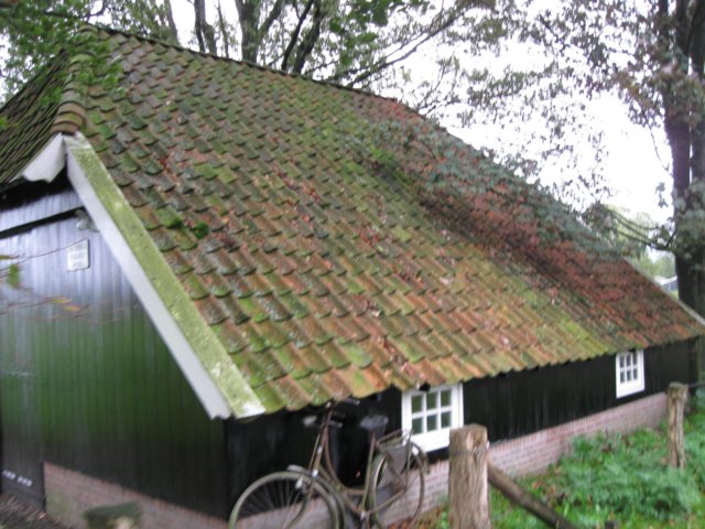 img_8972.jpg