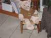 img_8981_small.jpg