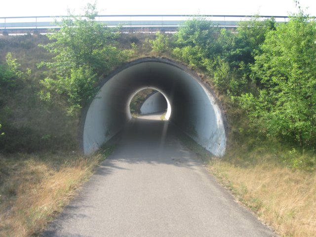 img_7879.jpg