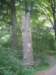img_7884_small.jpg