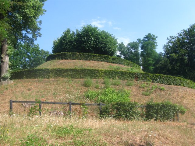 img_7931.jpg