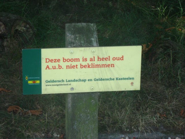 img_7943.jpg
