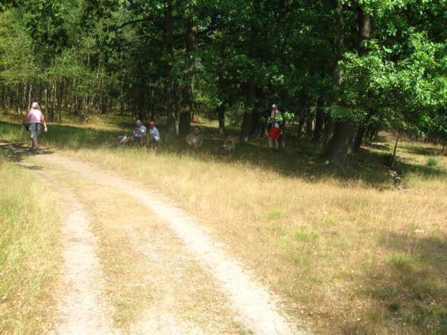 img_7954.jpg
