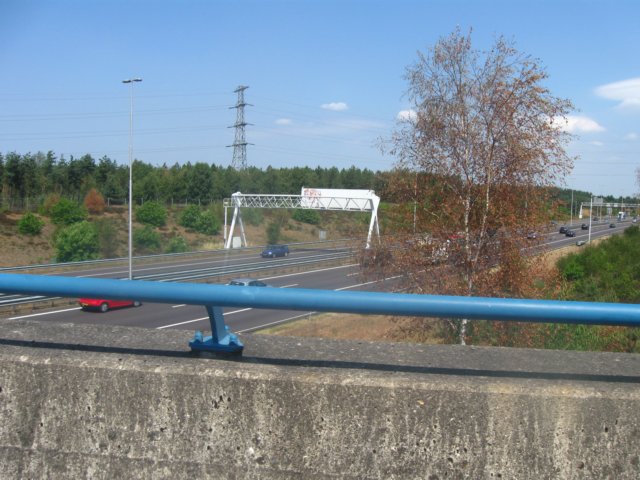 img_7955.jpg
