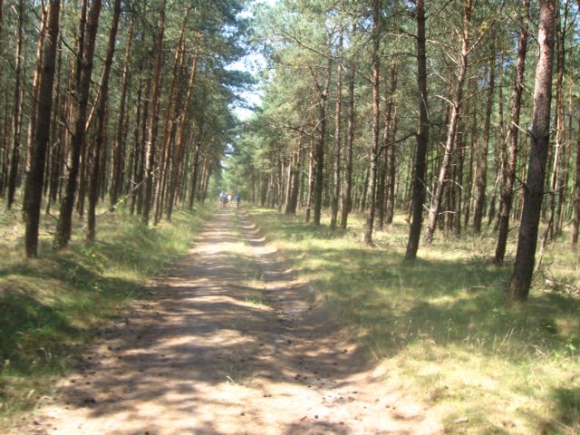 img_7956.jpg