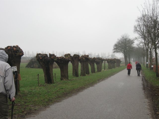 img_6612.jpg