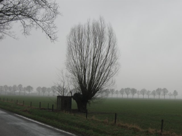 img_6620.jpg