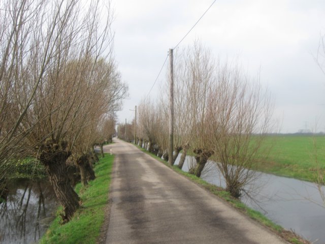 img_6809.jpg