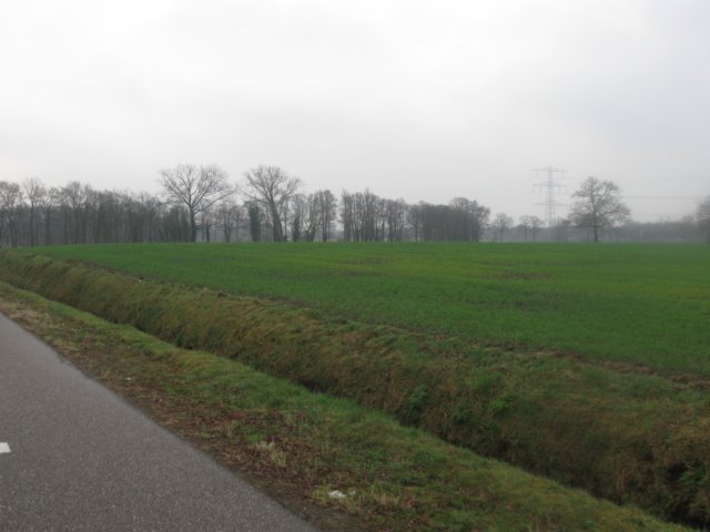 img_6910.jpg