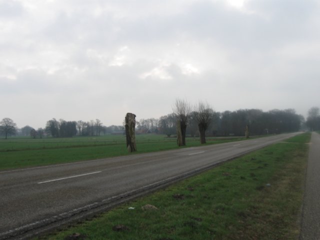 img_6912.jpg