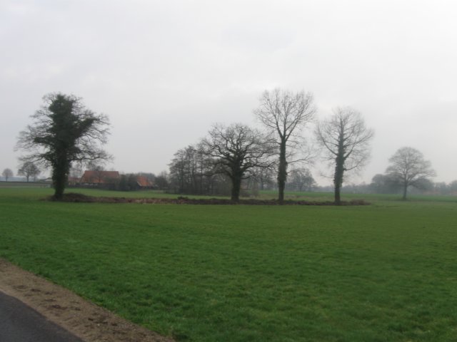img_6921.jpg