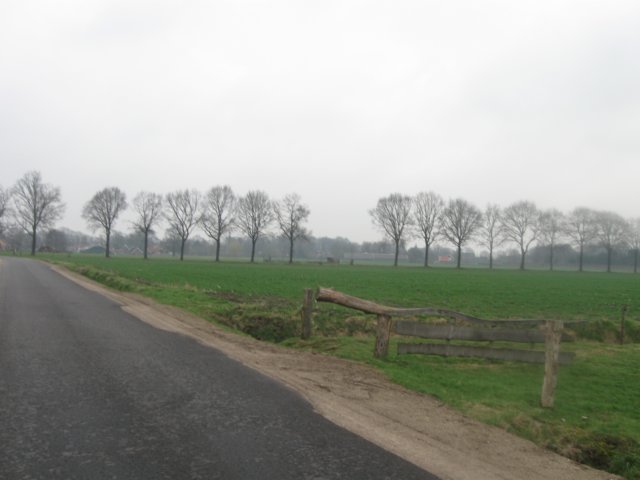 img_6927.jpg