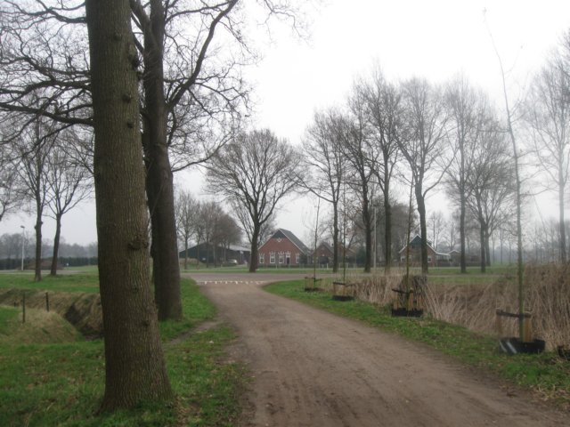 img_6939.jpg