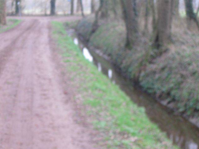 img_6950.jpg