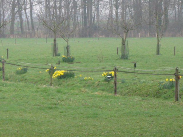 img_6952.jpg