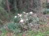 img_6953_small.jpg