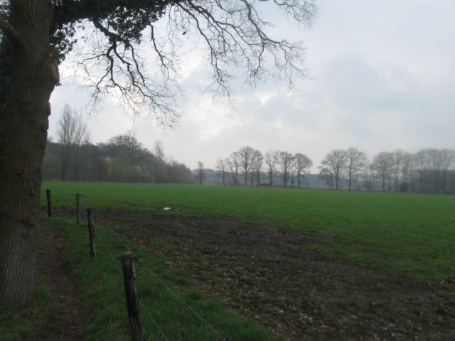 img_6956.jpg