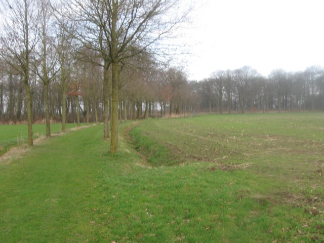 img_6979.jpg
