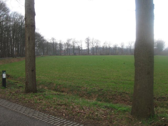 img_6980.jpg