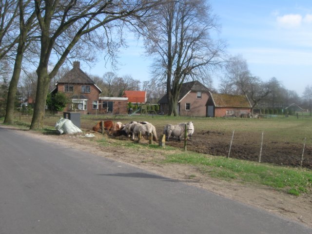 img_6996.jpg