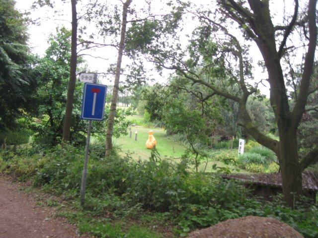 img_7682.jpg