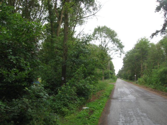 img_7688.jpg