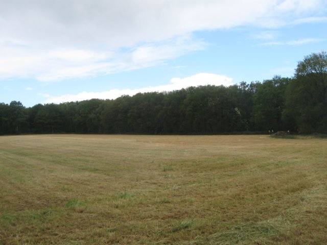 img_7706.jpg