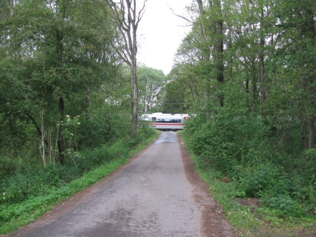 img_7755.jpg