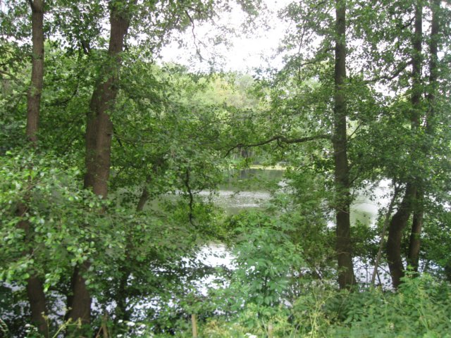 img_7765.jpg
