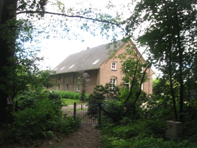 img_7768.jpg