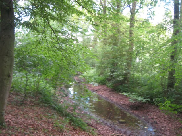 img_7769.jpg