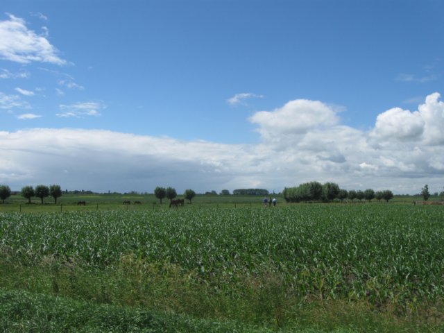 img_7773.jpg