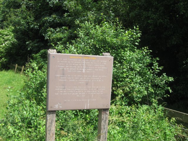 img_7774.jpg