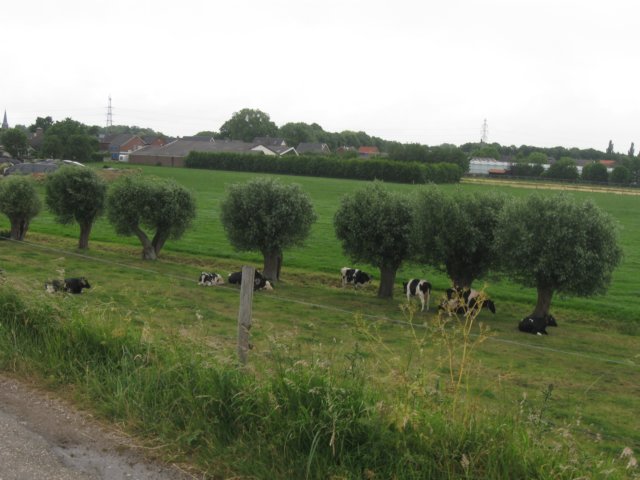 img_7779.jpg