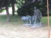 img_7784_small.jpg