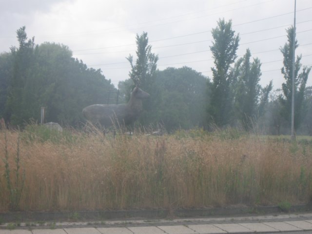 img_7786.jpg