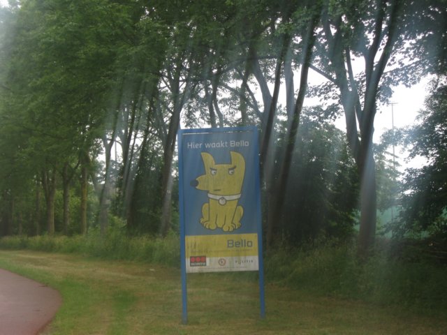 img_7788.jpg