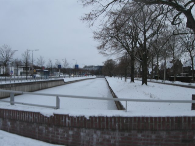 img_5546.jpg