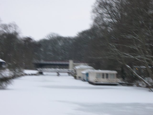 img_5549.jpg